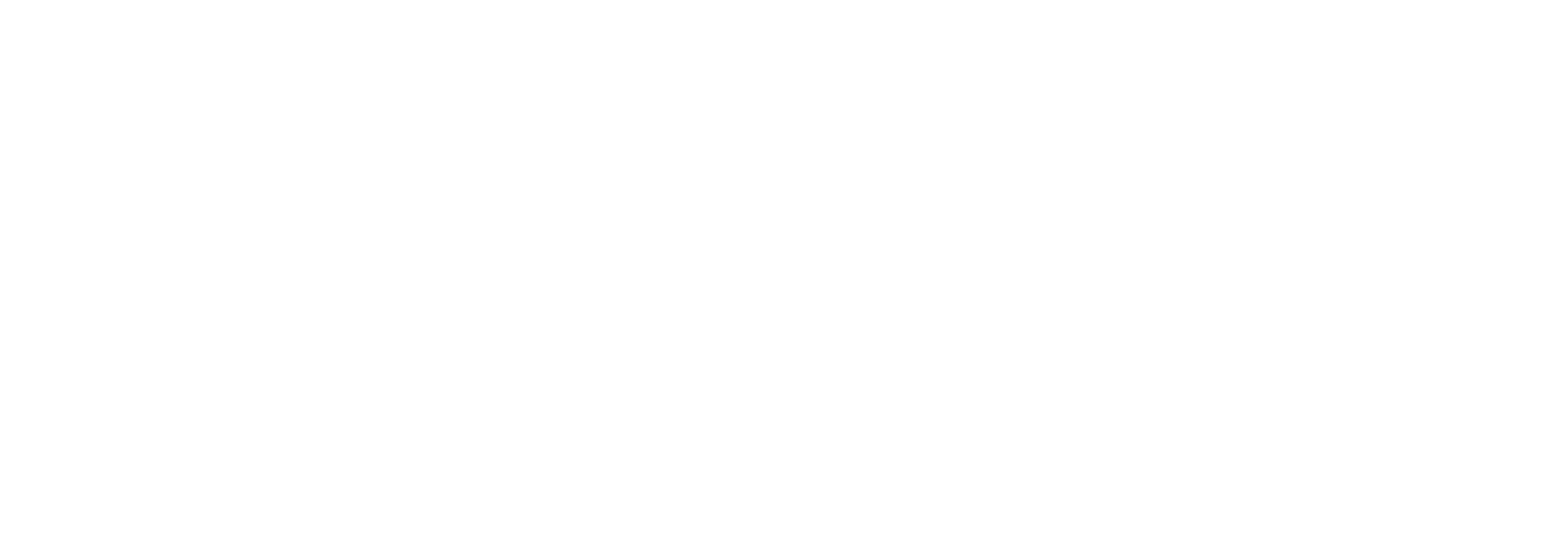 the shooting star academy logo
